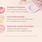 🌸 Kollagen solskydd 🌸 | SPF 50 bredspektrum solskydd för ansiktet | Lätt, inte klibbig, återfuktande formula | Ingen vit film eller rester | Peptider och cica för lugnande och naturlig glöd