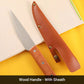 Professionell rostfri benkniv