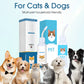 🧴 50% RABATT NU! Öronrengöring mot klåda för hundar och katter – mild, naturlig & effektiv – lugnar irriterade öron 🐾✨