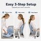 Ergonomisk memoryskum sittdyna med ryggstöd