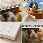 🐹 Ett helt år med söta marsvin – charmig väggkalender